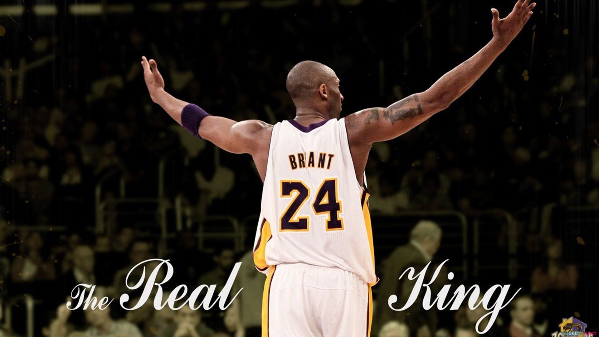 kaiyun电竞-新闻中心发布国内外高水平教练引进计划说明，高级教练员岗位培训班